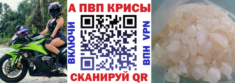 mega ссылки  Вытегра  Альфа ПВП СК 