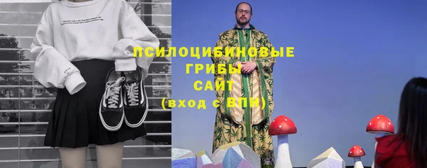 твердый Алексеевка