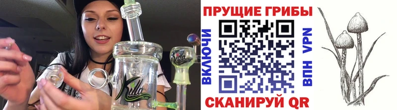 Галлюциногенные грибы Cubensis  Вытегра 
