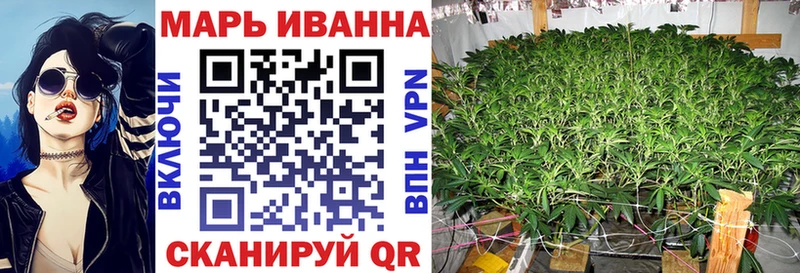 маркетплейс какой сайт  Вытегра  Бошки марихуана OG Kush  продажа наркотиков 